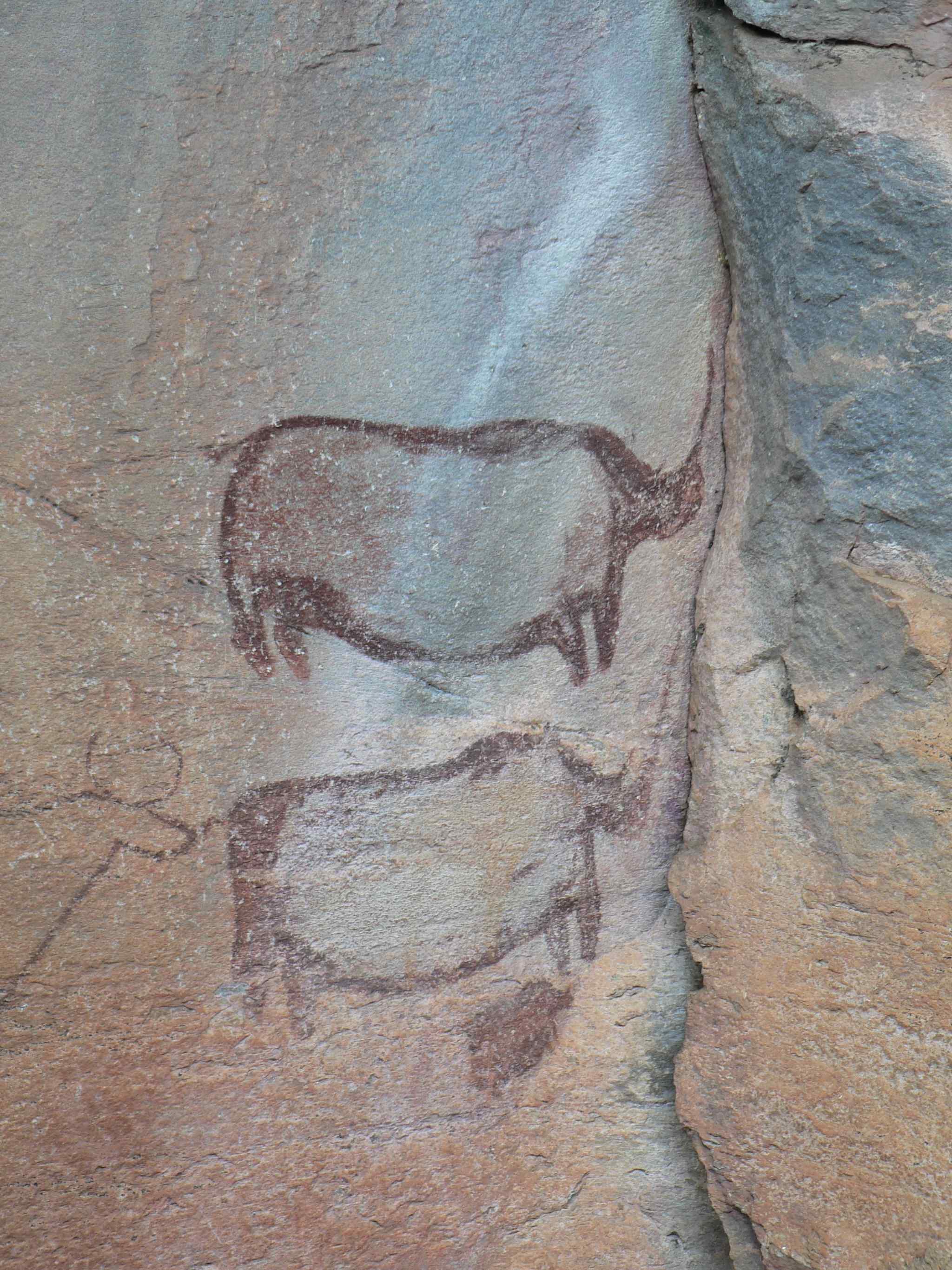 Photograph of the rock art of the Tsodilo Hills, Botswana