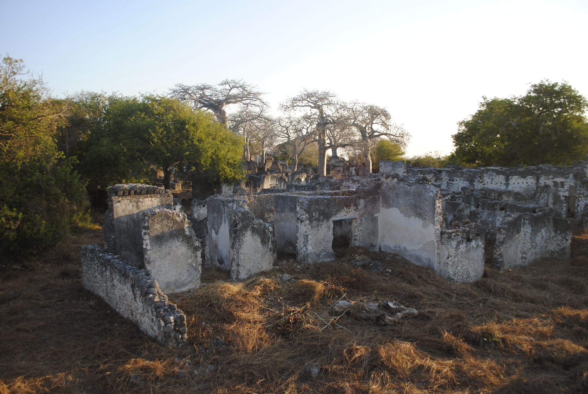 Photograph of the ruins of Songo Mnara, Tanzania